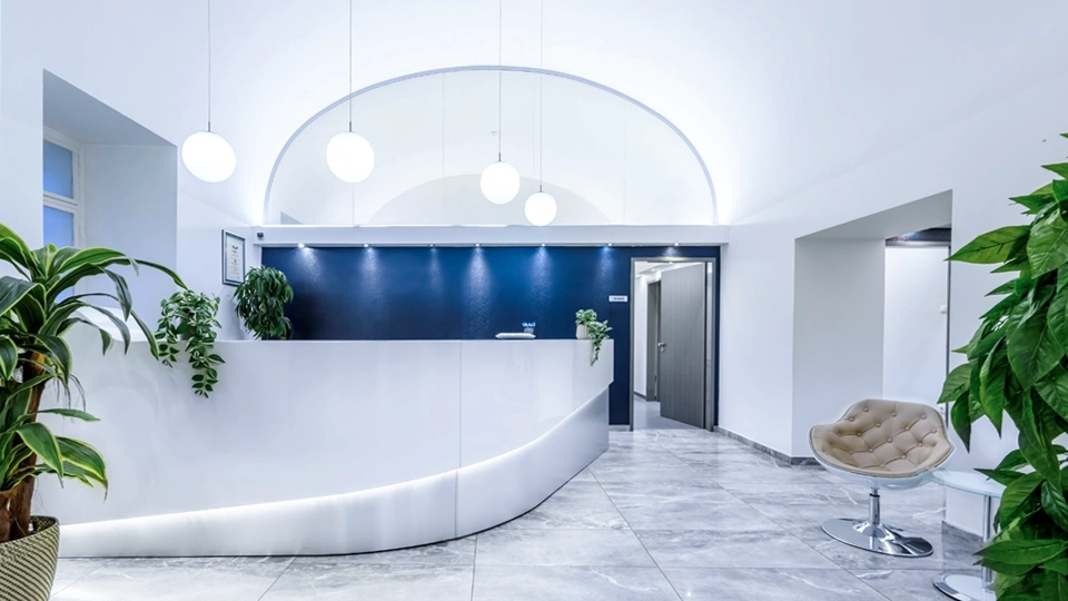 Ars Medica recepció